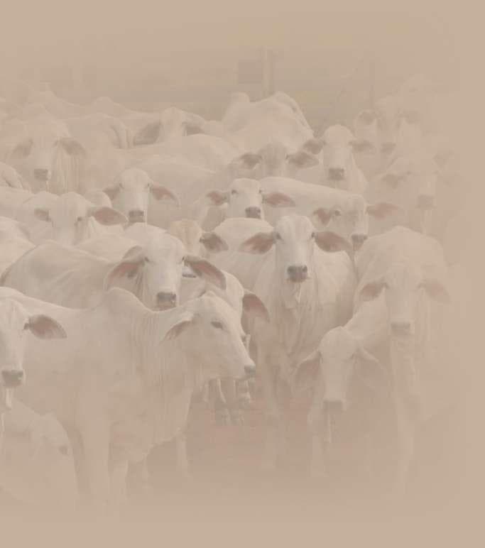 Gau Seva - Cow protection