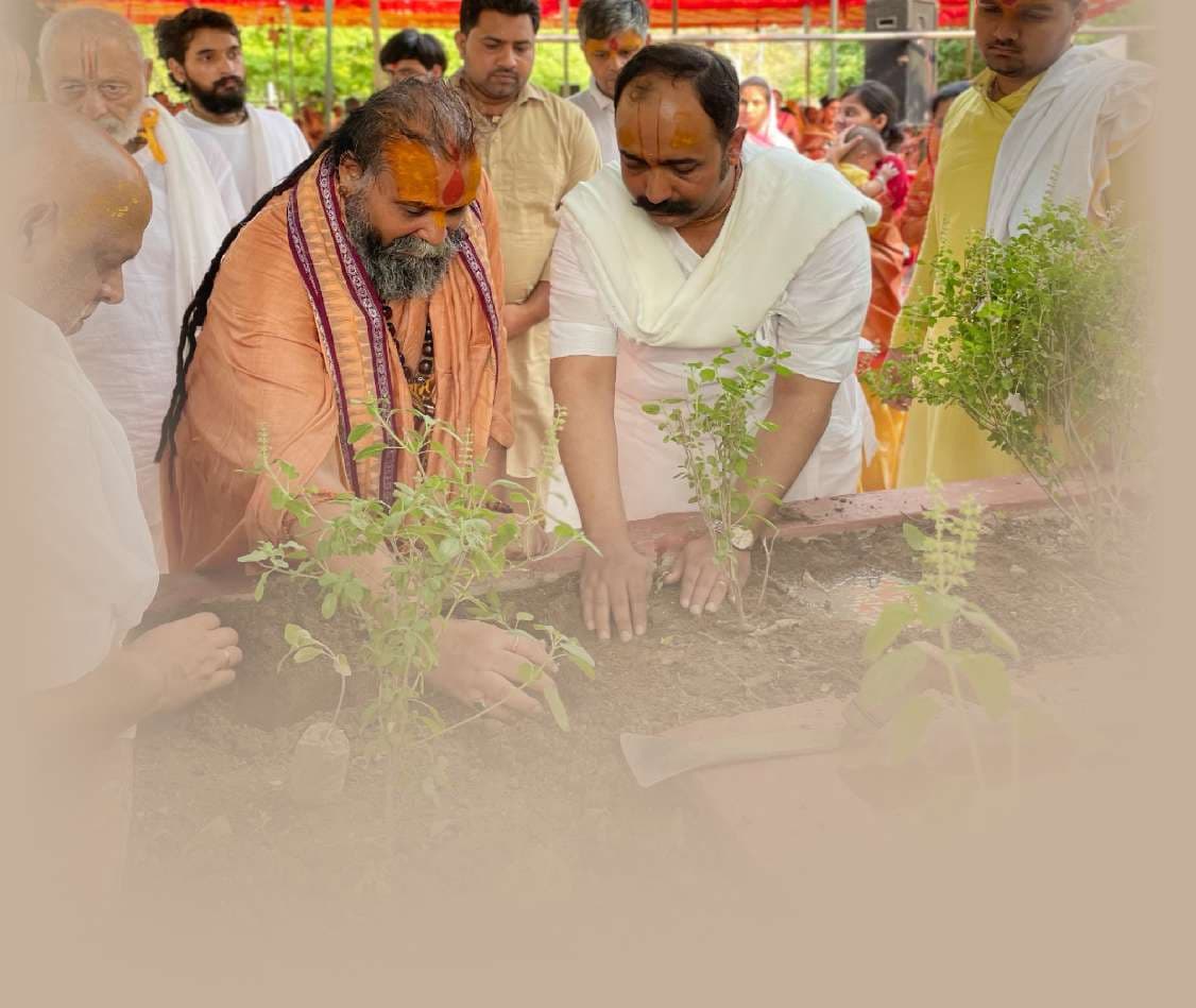 Tree plantation seva
